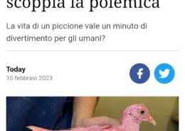 Siete d’accordo per dare pene esemplari a chi tortura in questo modo gli animali ?